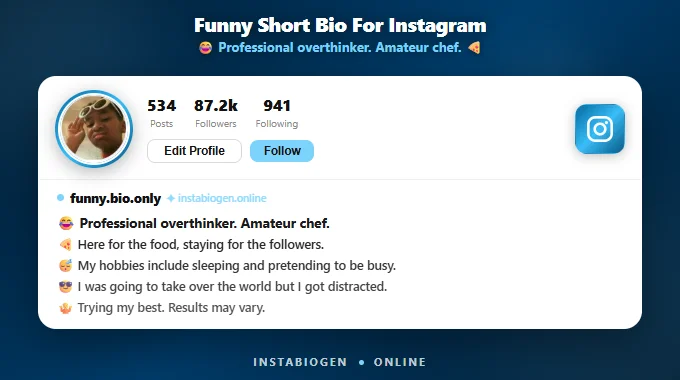 Funny Short Bio For Instagram